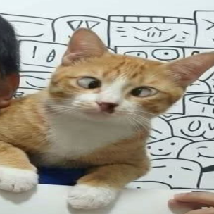 iSIX