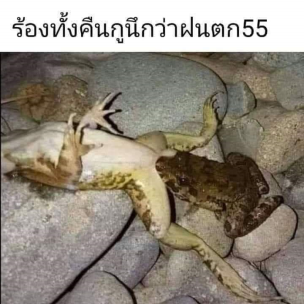 เล่นซะใจหาย